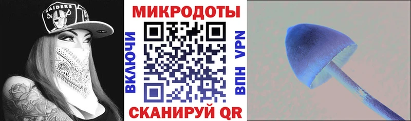маркетплейс формула  Курильск  Галлюциногенные грибы Psilocybe 